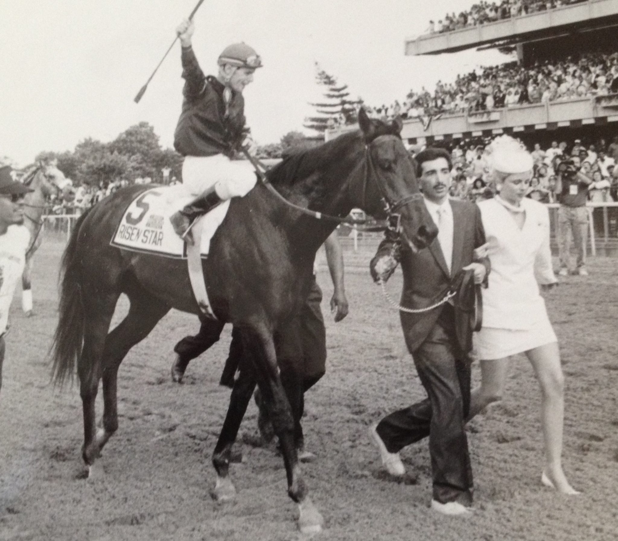 It's Risen Star Week-Remembering the 1988 New Orleans Superstar Colt ...